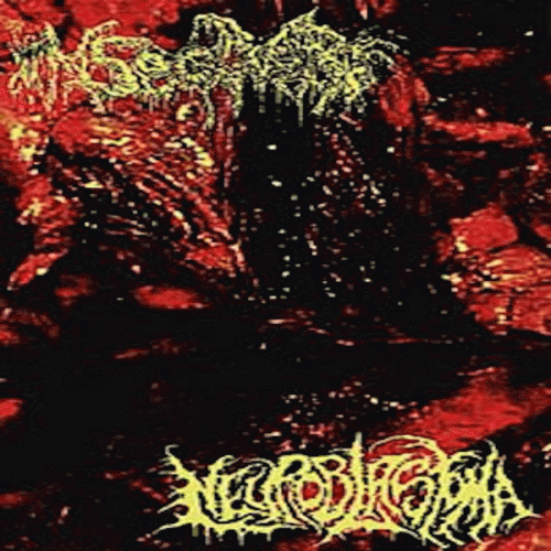 Insectivore : Insectivore - Neuroblastoma